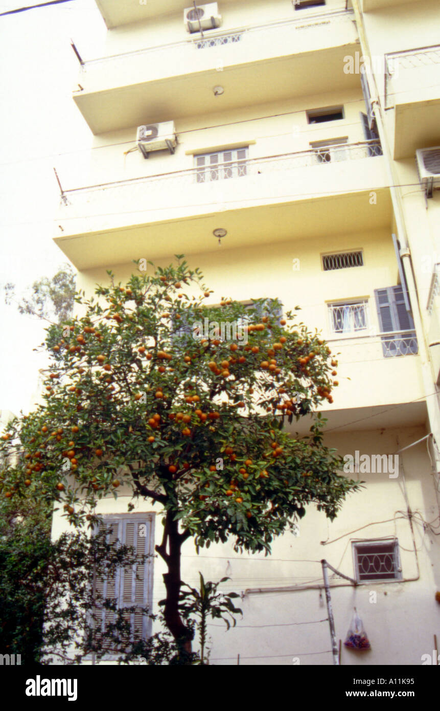 Misere esistenti di Beirut Libano Foto Stock
