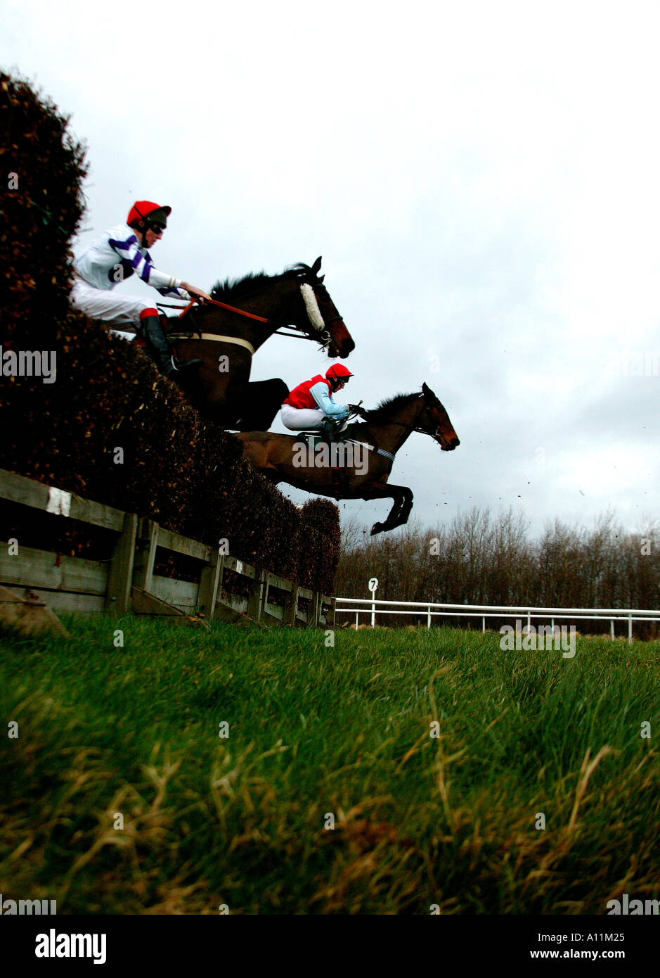 Corse di cavalli a Musselburgh East Lothian in Scozia race course Foto Stock