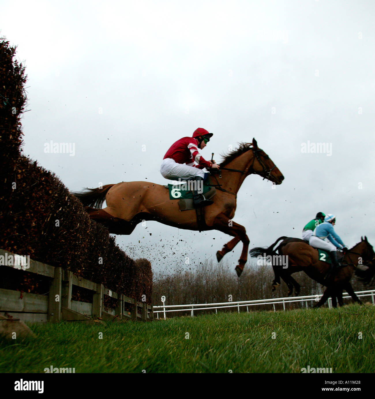Corse di cavalli a Musselburgh East Lothian in Scozia race course Foto Stock