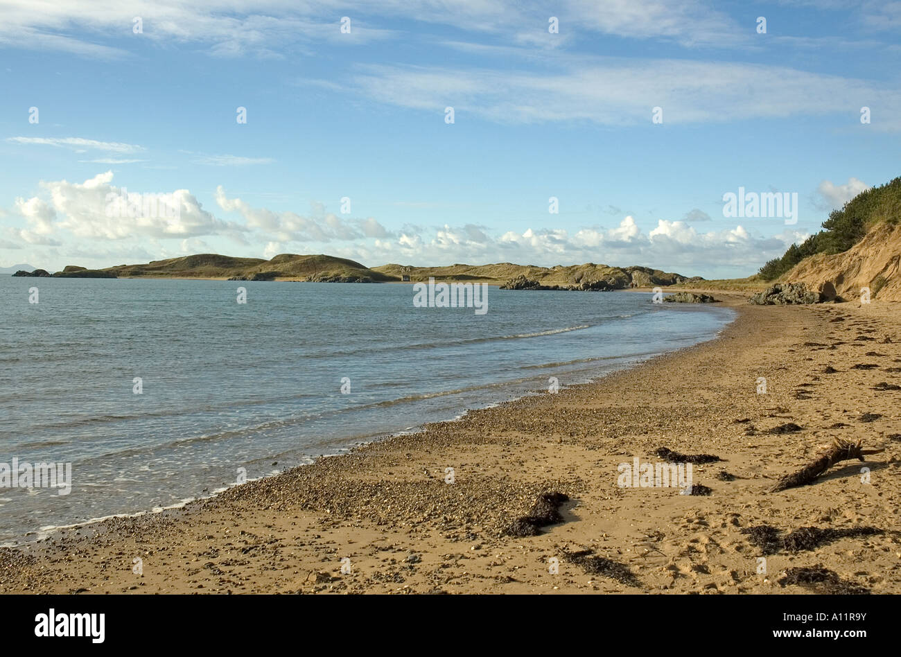 Isola di Llandwyn Foto Stock