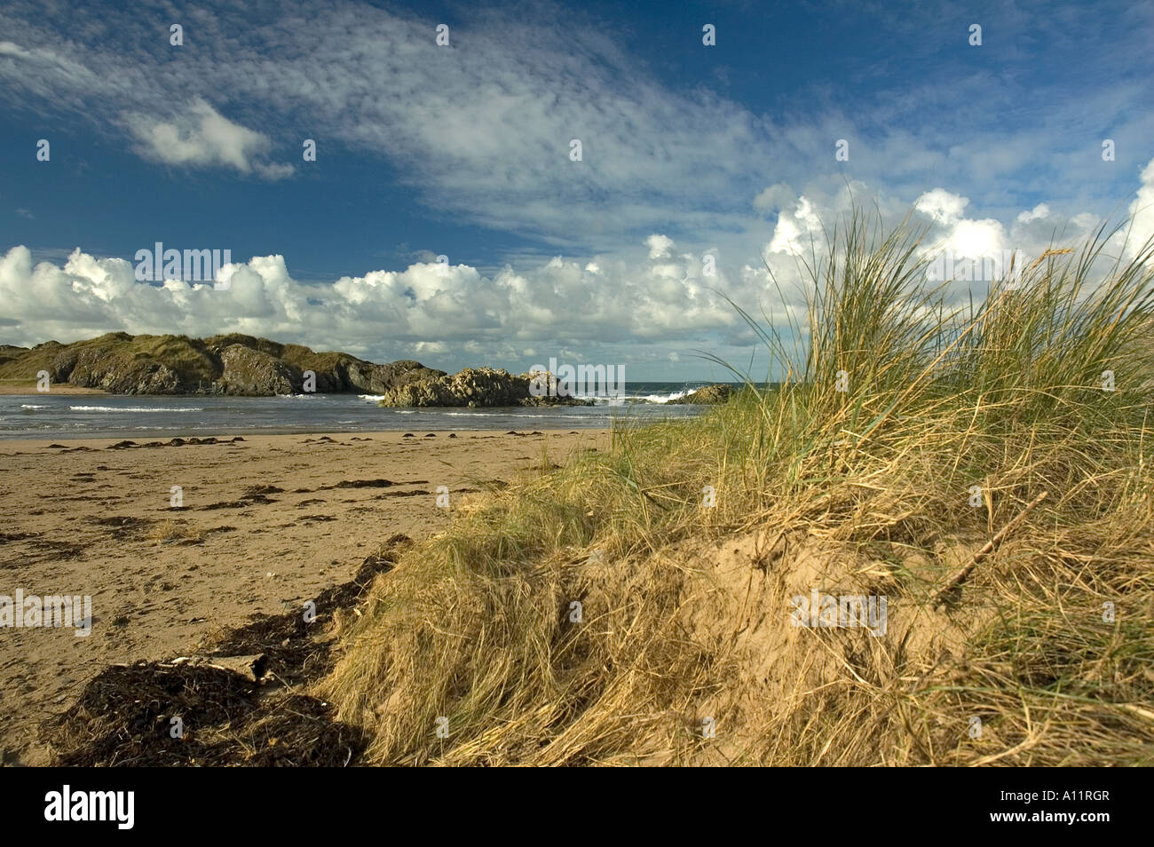 Isola di Llandwyn Foto Stock