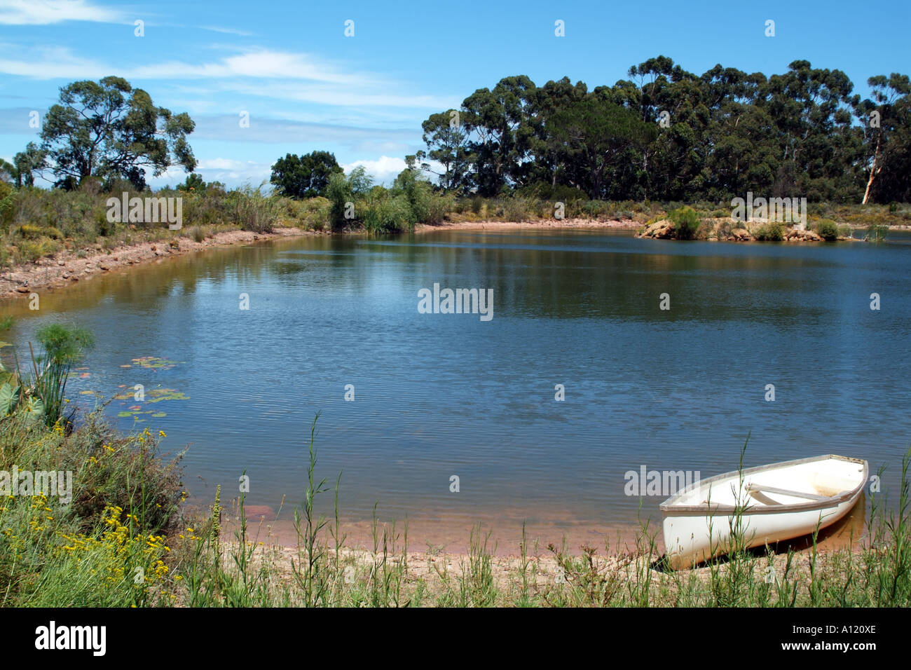 South African il lago e la campagna di Helderberg Stellenbosch western cape vicino a Cape Town RSA Foto Stock