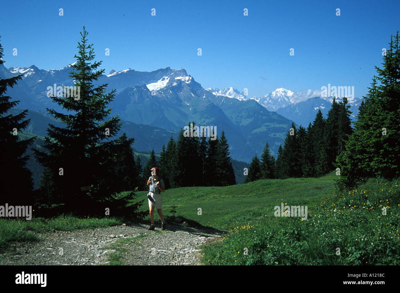 Villars Bretaye Vaud svizzera Foto Stock