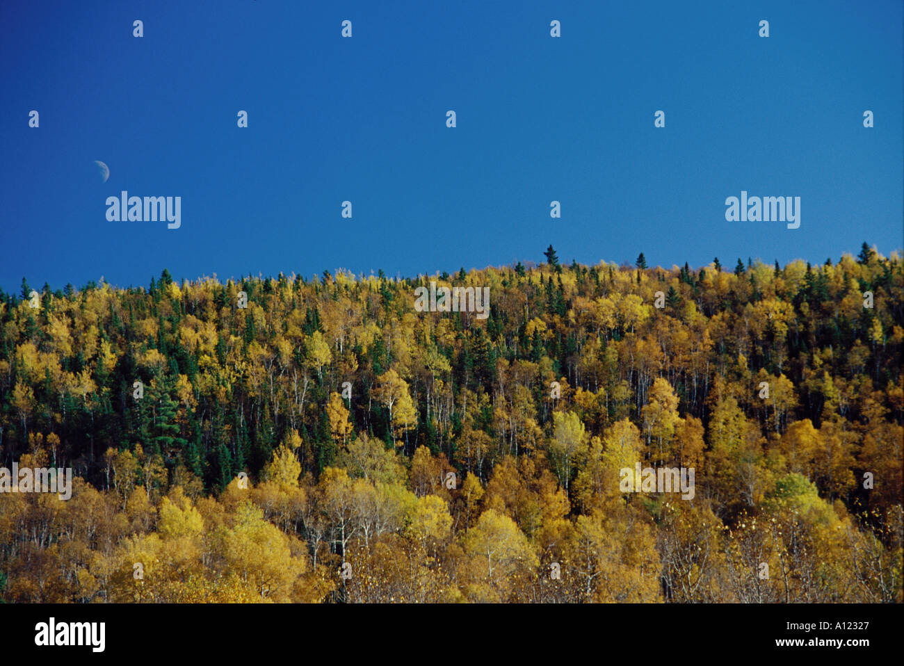 I colori dell'autunno North Shore lago superior Minnesota USA con mezza luna Foto Stock