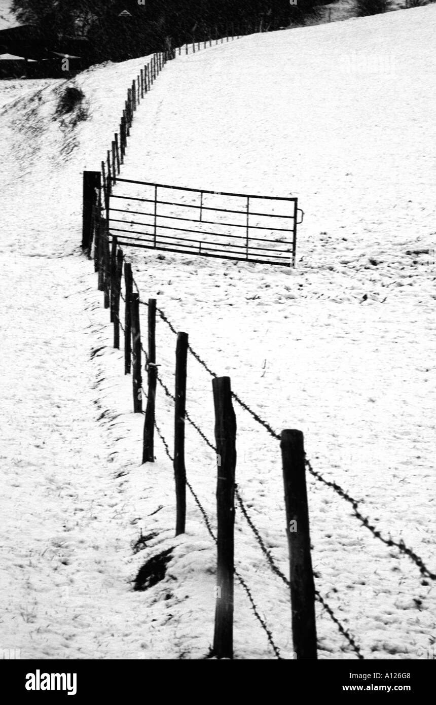 In inverno la neve sulla South Downs nel Sussex Foto Stock
