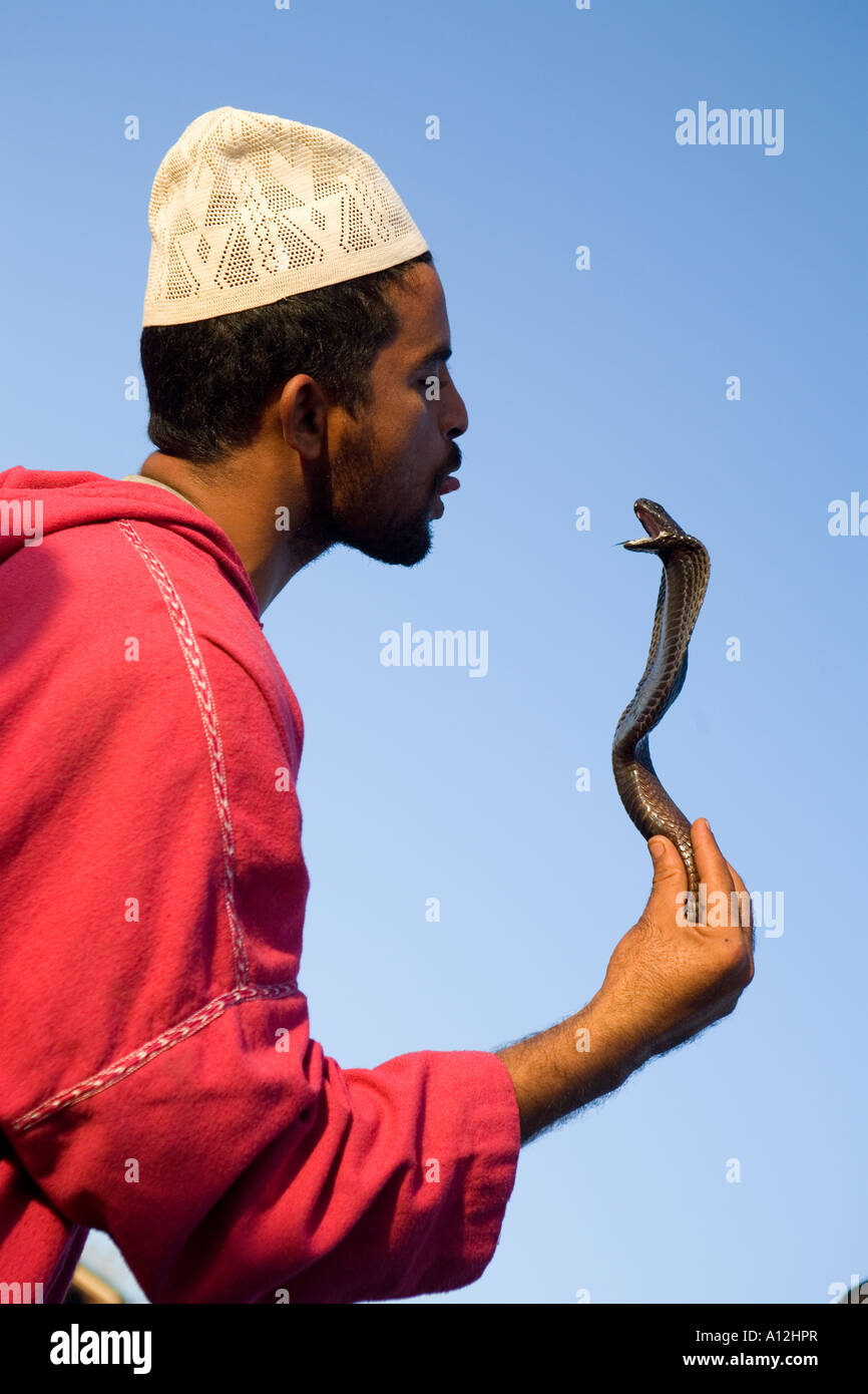 Il serpente incantatore nel Djemaa el Fna mercato in Marrakech Marocco Foto Stock