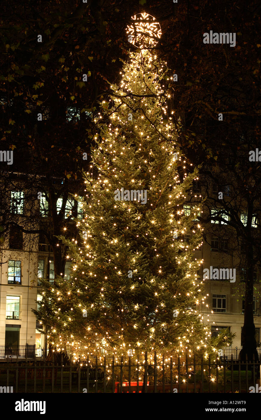 Albero di Natale in Berkley Square London W1 Foto Stock