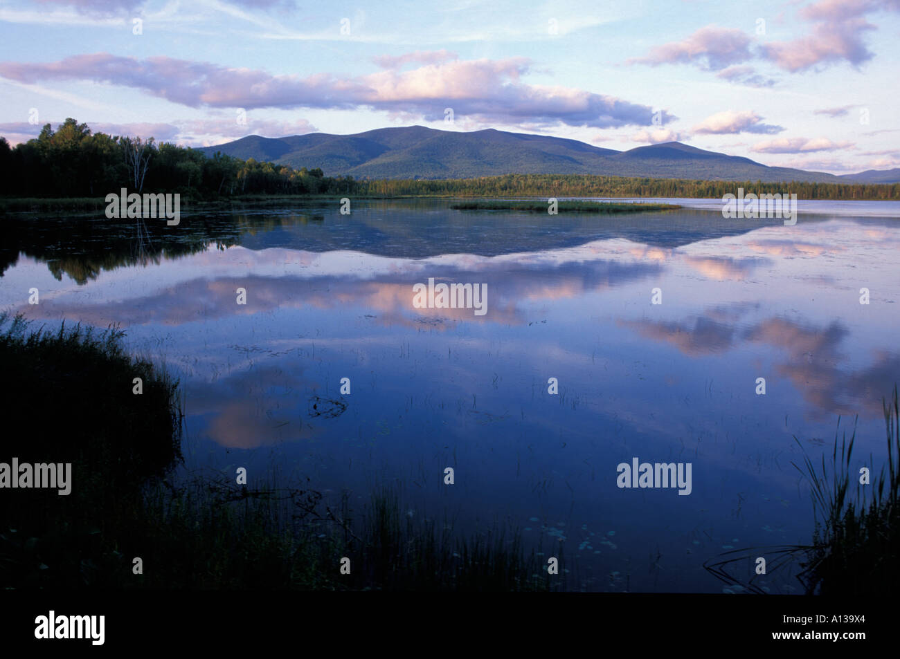 Le nuvole riflettono in ciliegio Pond Pondicherry National Wildlife Refuge White Mountains Plinio gamma è la distanza Jefferson NH Foto Stock