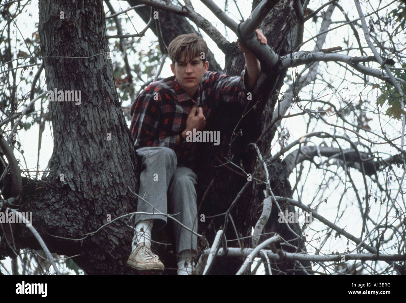 Birdy Anno 1984 Direttore Alan Parker Matthew Modine basato su William Wharton s book Foto Stock
