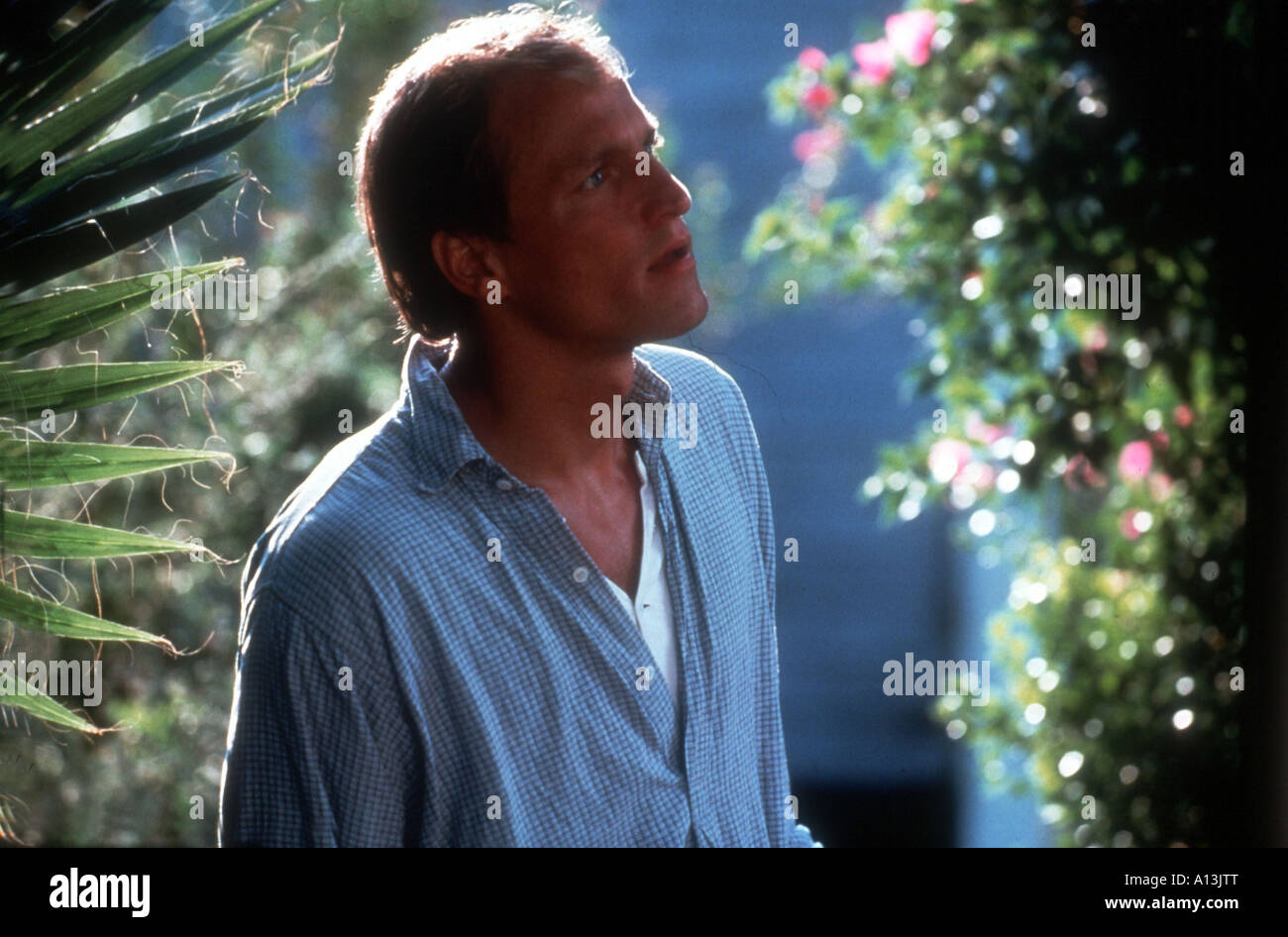 Proposta indecente Anno 1993 Direttore Adrian Lyne Woody Harrelson Foto Stock