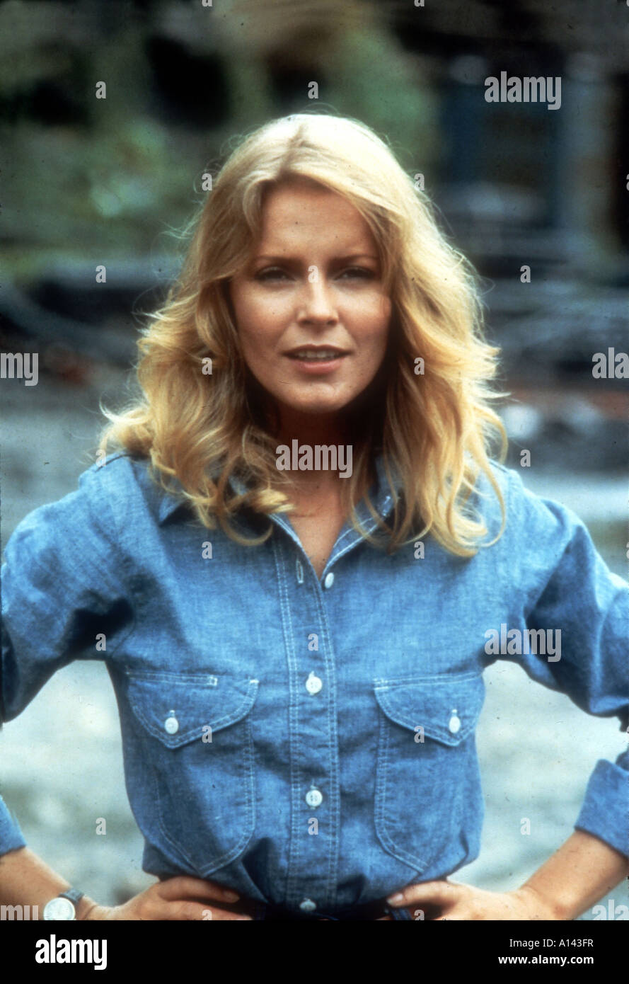 Cheryl Ladd attrice Foto Stock