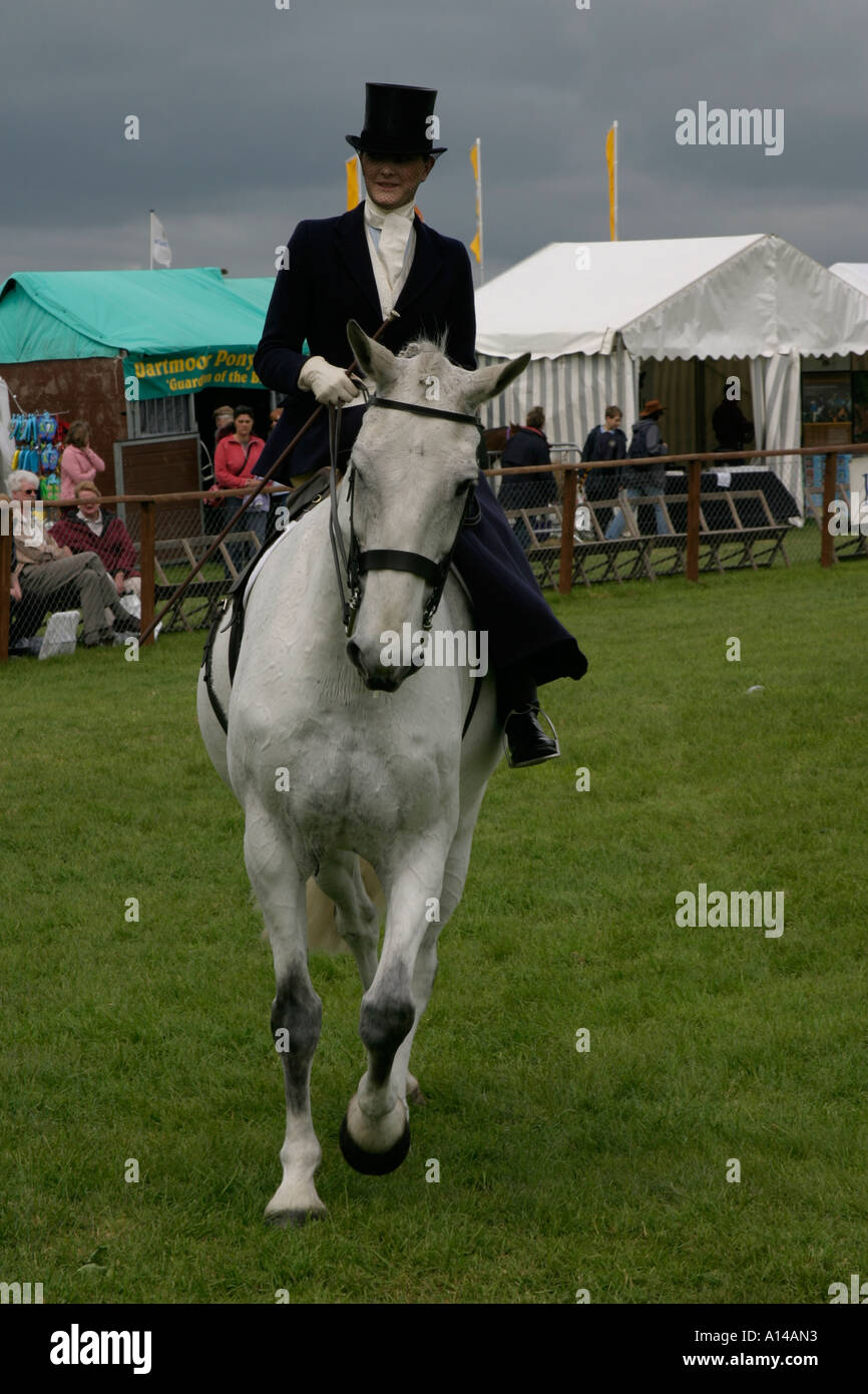 Equitazione donna sidesaddle a Devon contea agricola visualizza REGNO UNITO Foto Stock