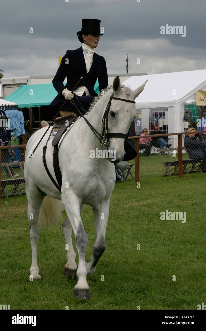 Equitazione donna sidesaddle a Devon contea agricola visualizza REGNO UNITO Foto Stock