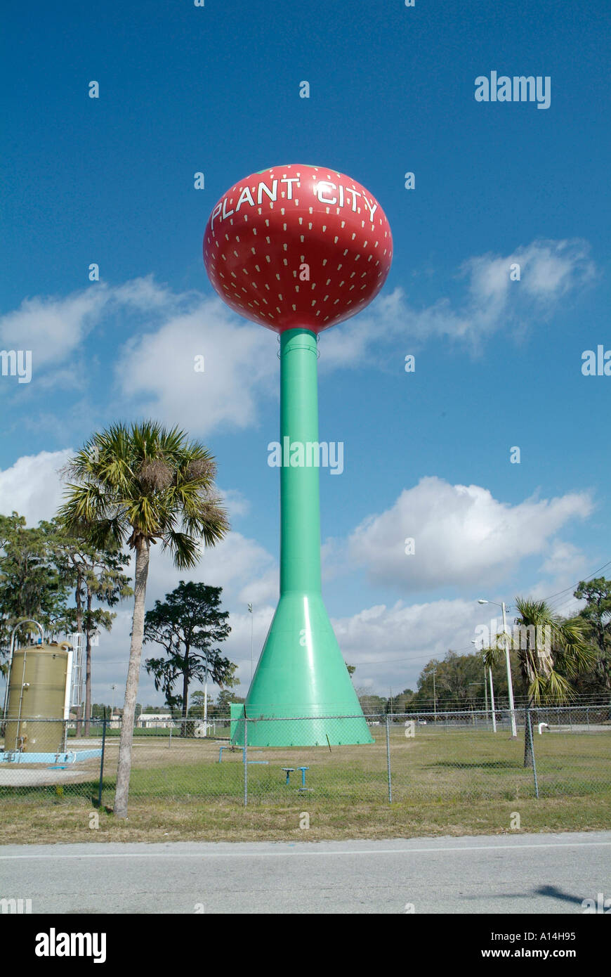 La torre dell'acqua simboleggia la fragola capitale del fiore a Plant City Florida Foto Stock