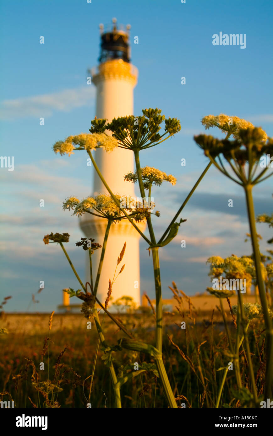 Luce Girdleness House Aberdeen, Scozia Foto Stock