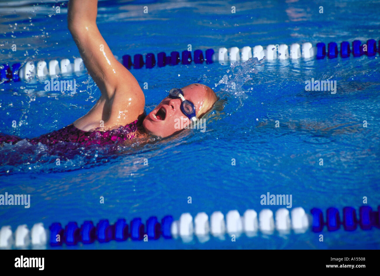 Una giovane donna di freestyle di nuoto in piscina Foto Stock