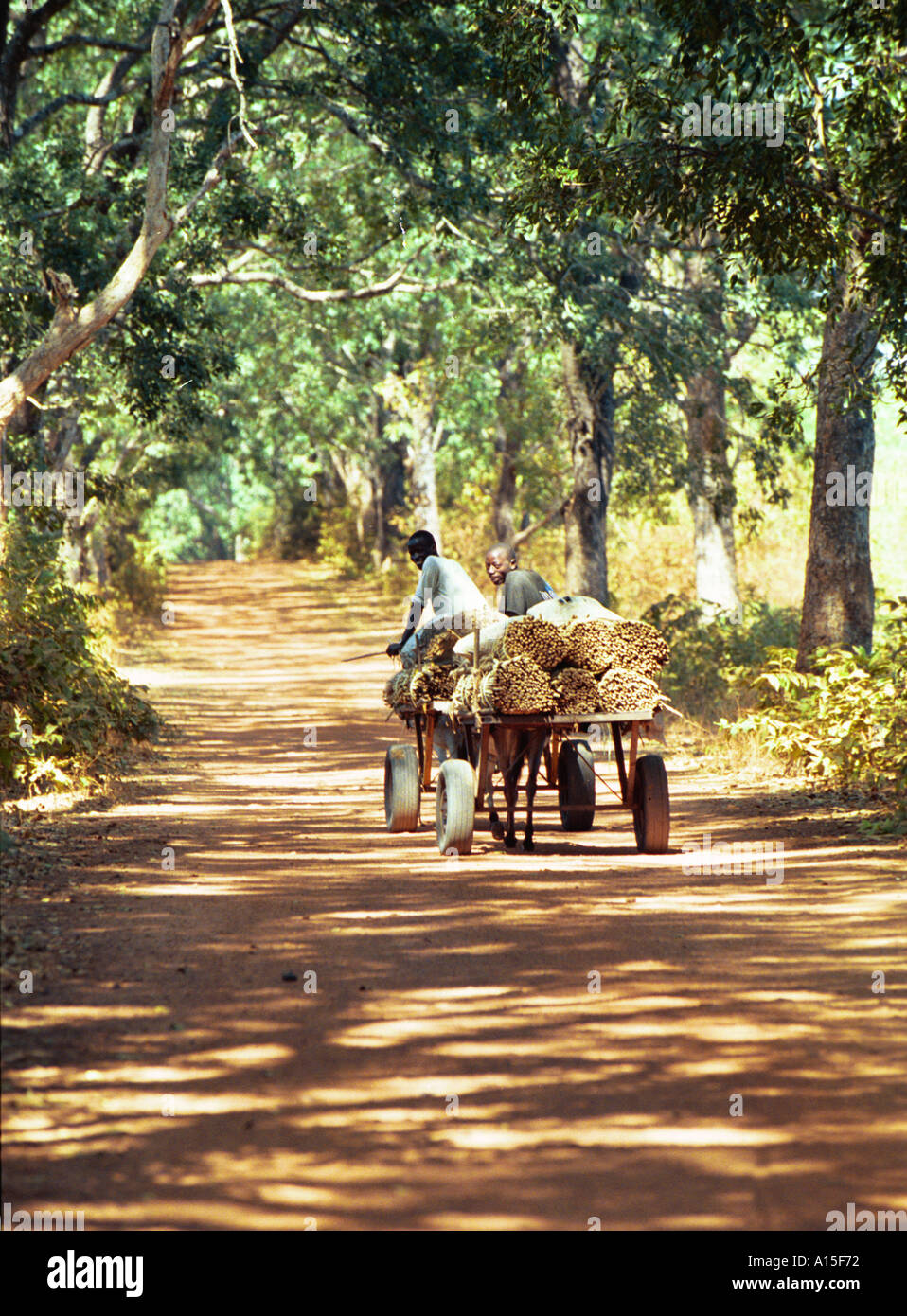 Gli abitanti di un villaggio da Fulani villaggio di Dembel Jumpora situato nella regione orientale del paese africano e Dell'ovest della Guinea Foto Stock