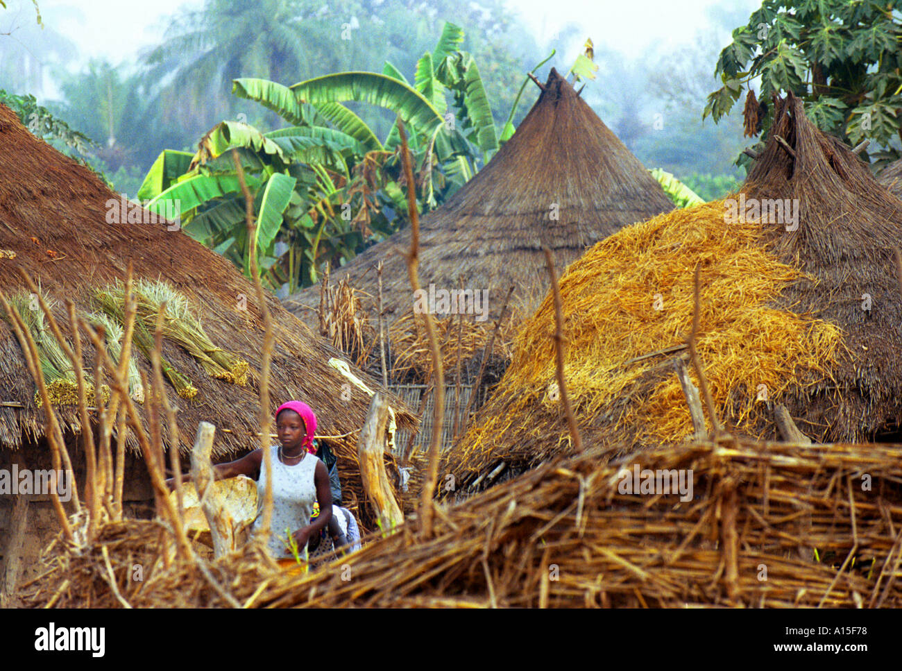 Una giovane ragazza prepara il riso in Fulani villaggio di Dembel Jumpora si trova nella regione orientale della West African Foto Stock