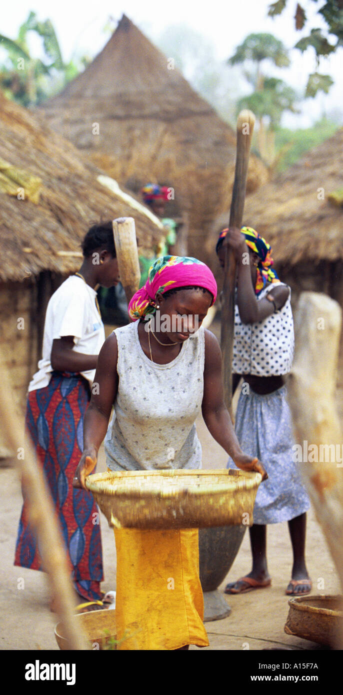 Le ragazze giovani prepara il riso in Fulani villaggio di Dembel Jumpora si trova nella regione orientale della West African Foto Stock