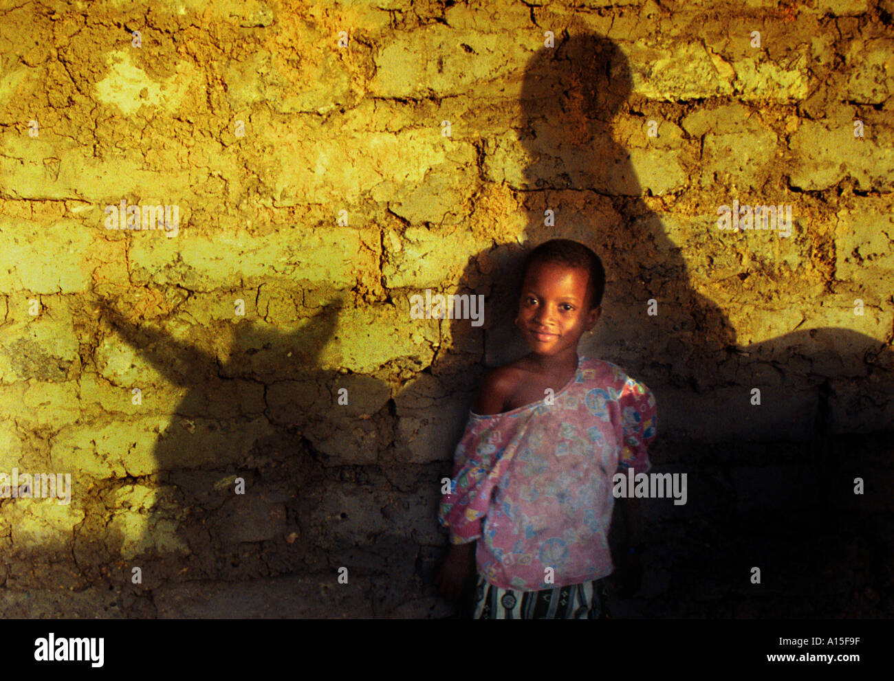 Fama pone per un ritratto nell'ombra di un asino in Fulani villaggio di Dempel Jumpora in Guinea Bissau. La Guinea Foto Stock