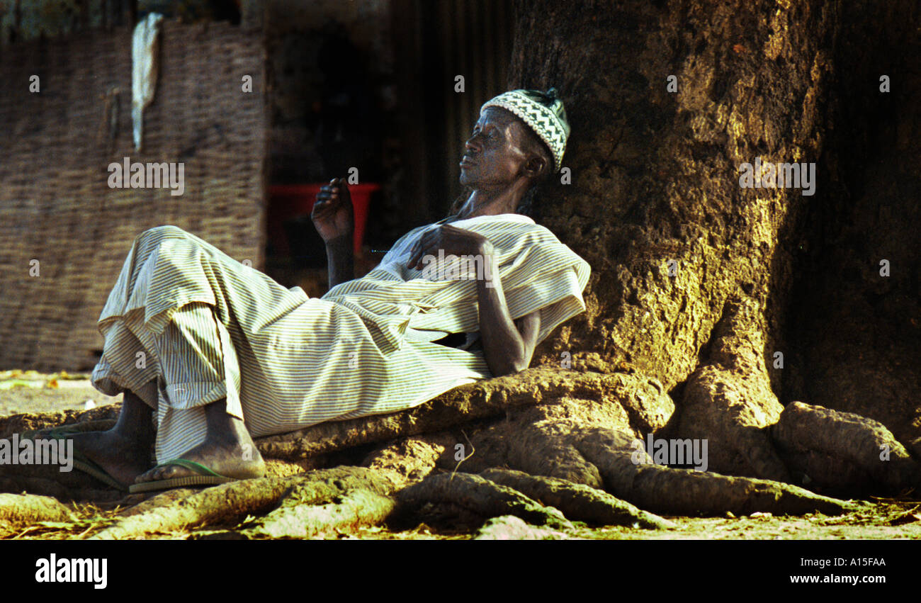 Un uomo dal villaggio di Dembel Jumpora nel paese africano e Dell'ovest della Guinea Bissau si rilassa sotto teh sahde di un albero di mango. Foto Stock