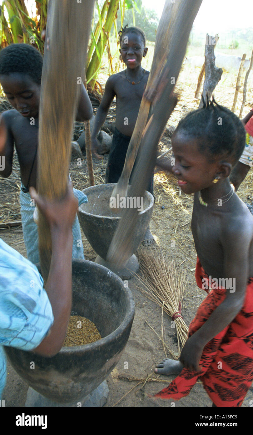 Le giovani ragazze dal villaggio di Dembel Jumpora nel paese africano e Dell'ovest della Guinea Bissau libbra di riso. Le donne in questo Foto Stock