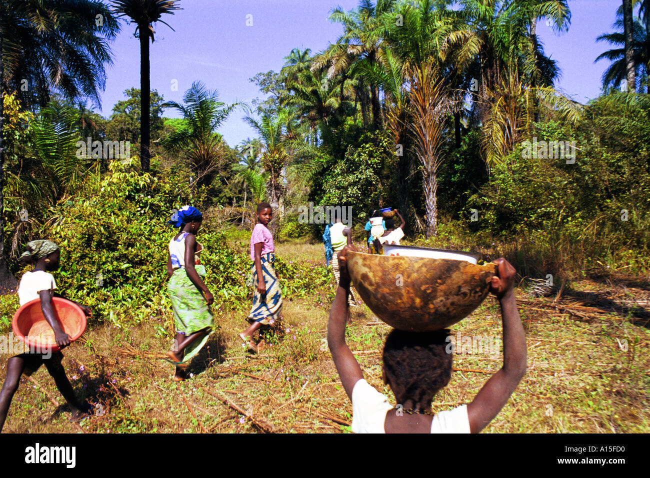Le ragazze cercare dadi nel loro villaggio situato nel paese africano e Dell'ovest della Guinea Bissau. I giorni qui sono impiegato nella ricerca e Foto Stock