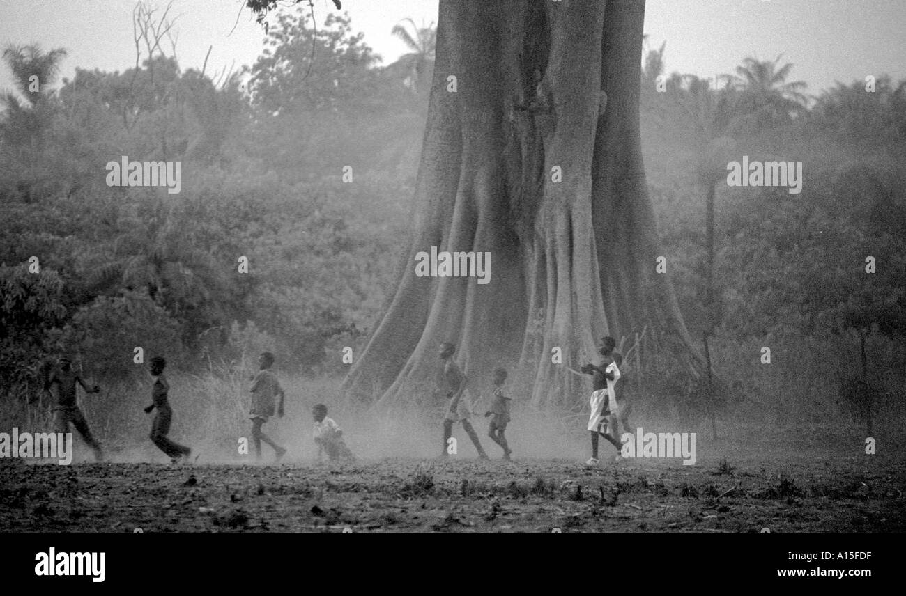 I bambini giocano a calcio sotto uno degli enormi alberi in un remoto villaggio di Dempel Jumpora nel paese africano e Dell'ovest Foto Stock