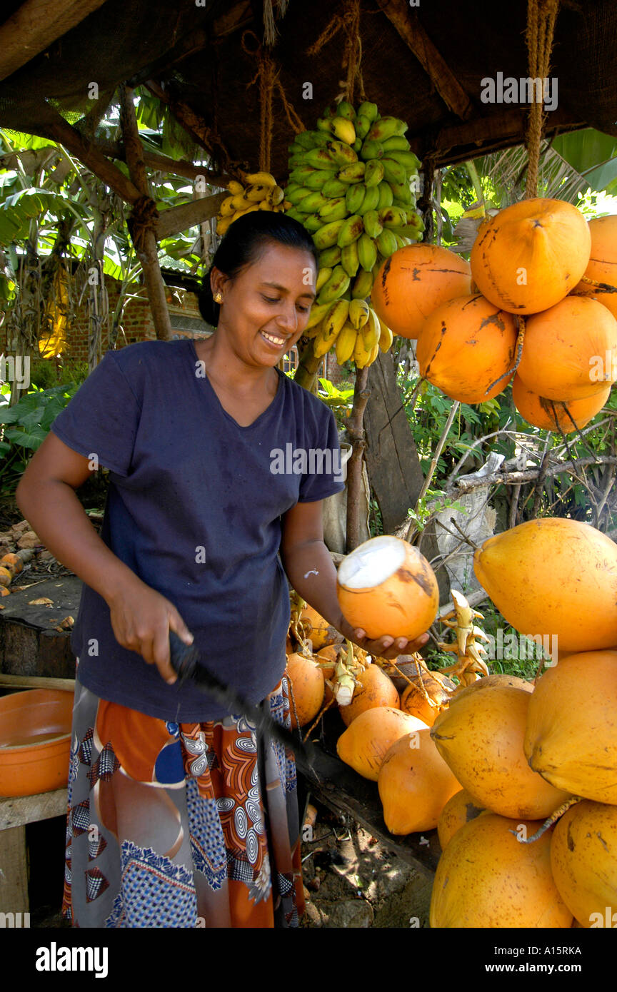 Sri Lanka market bar pub coco dado cibo bere latte Foto Stock