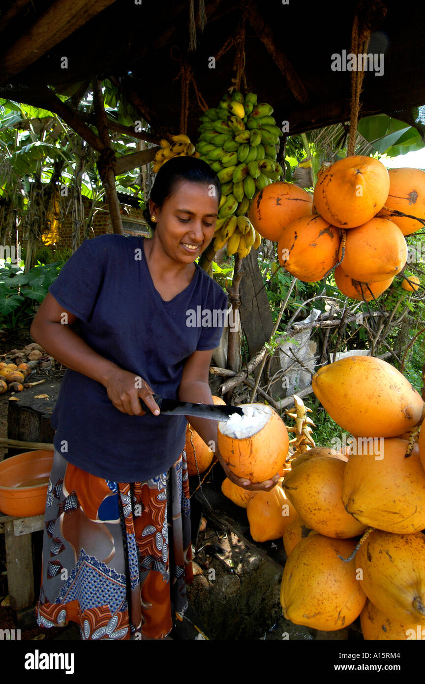 Sri Lanka market bar pub coco dado cibo bere latte Foto Stock