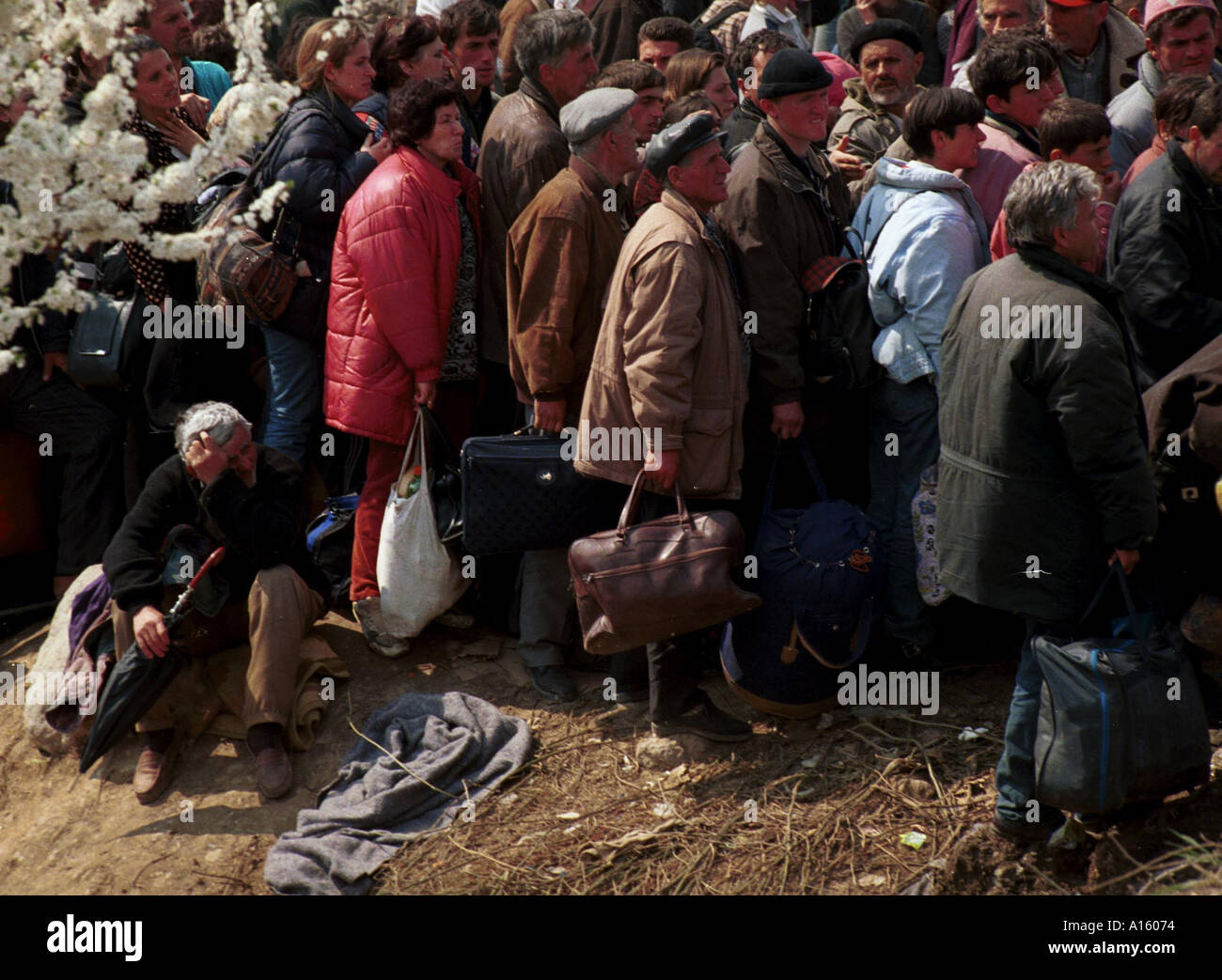 Di etnia albanese rifugiati provenienti dal Kosovo e attendere a bordo di autobus presso la massiccia camp a Blace Macedonia Martedì 6 Aprile 1999 dove alcuni Foto Stock