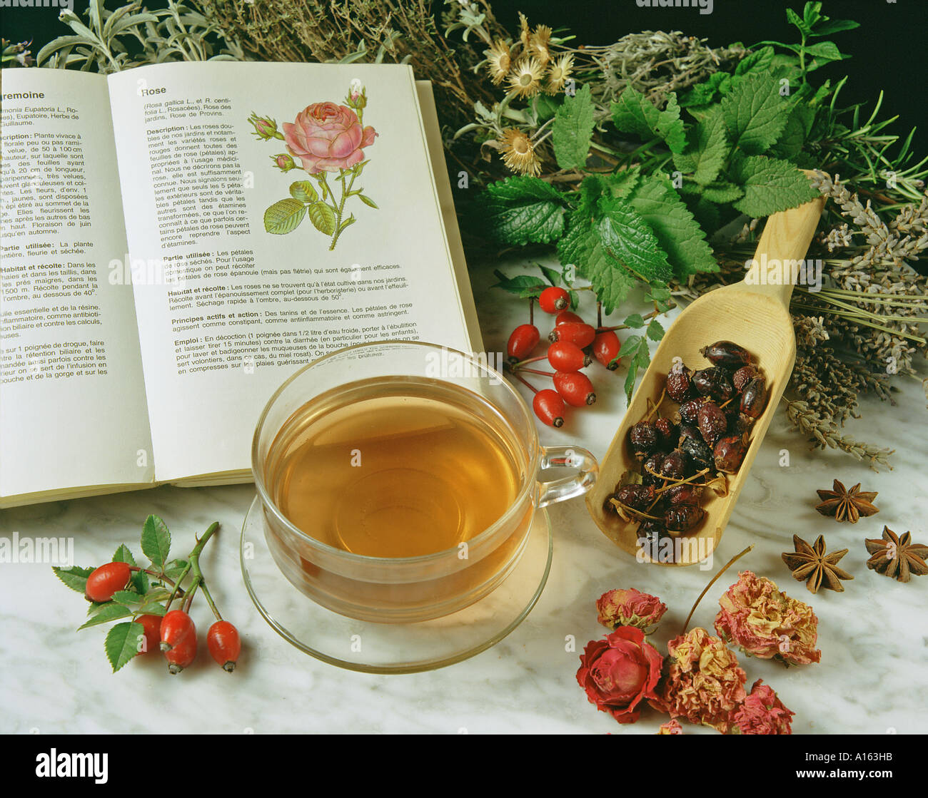 Infusione di rosa Foto Stock