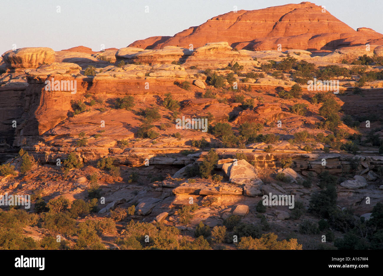 Il Parco Nazionale di Canyonlands UT Alba nel distretto di aghi Cedar Mesa formazione di arenaria da Elephant Hill strada di accesso Foto Stock