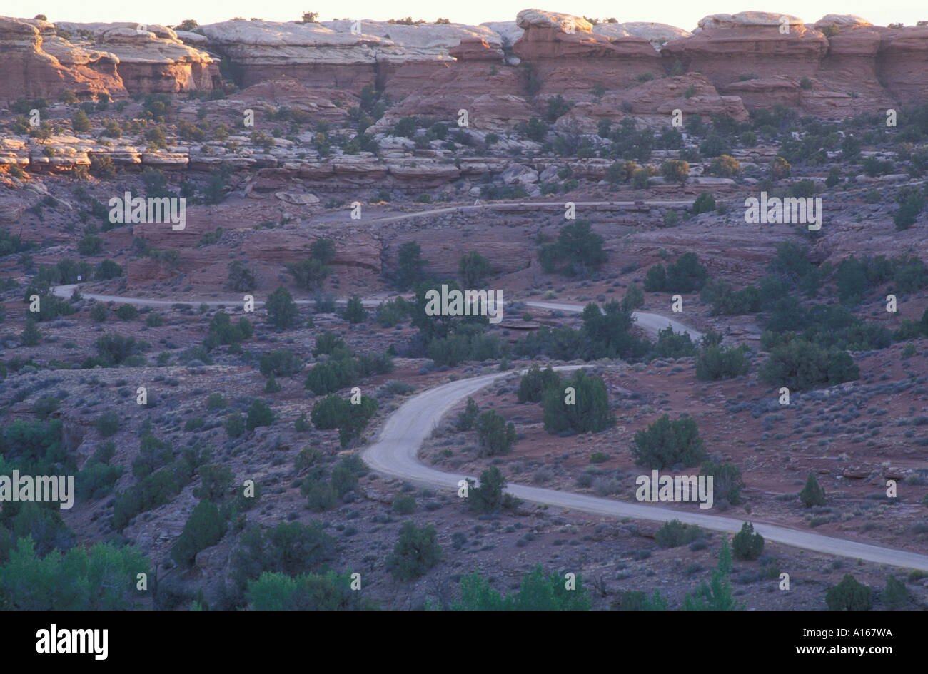 Il Parco Nazionale di Canyonlands UT Alba nel distretto di aghi Cedar Mesa formazione di arenaria Elephant Hill strada di accesso Foto Stock