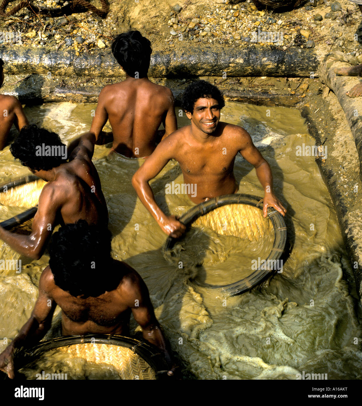 Sri Lanka Ratnapura Mining Sapphire Moonstone Ruby Pietre preziose Gioielli Gems Gem Box Foto Stock