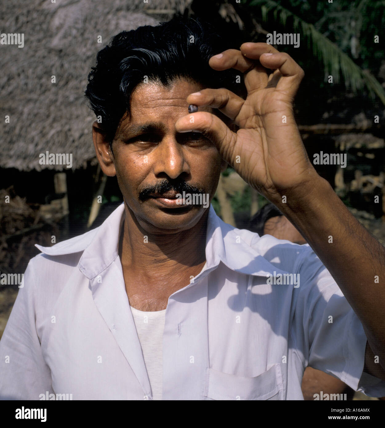 Sri Lanka Ratnapura Mining Moonstone zaffiro pietre preziose Ruby gioielli Gems Foto Stock