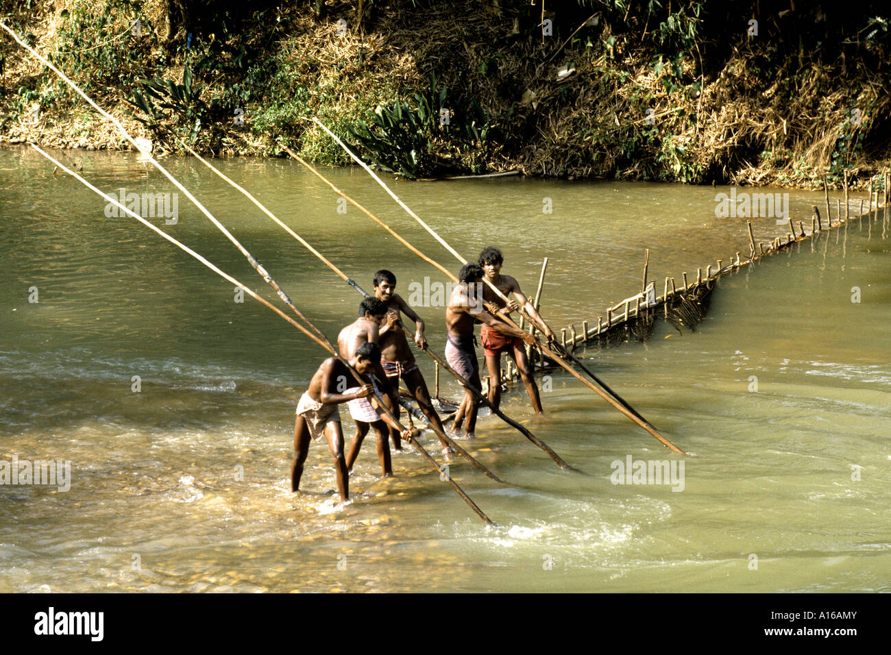 Sri Lanka Ratnapura Mining Moonstone zaffiro pietre preziose Ruby gioielli Gems Foto Stock