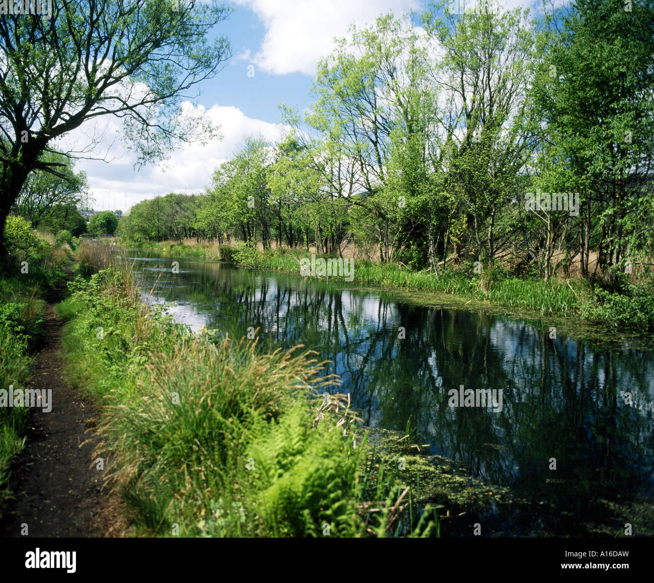 Tennant canal neath abbey neath South wales uk Foto Stock