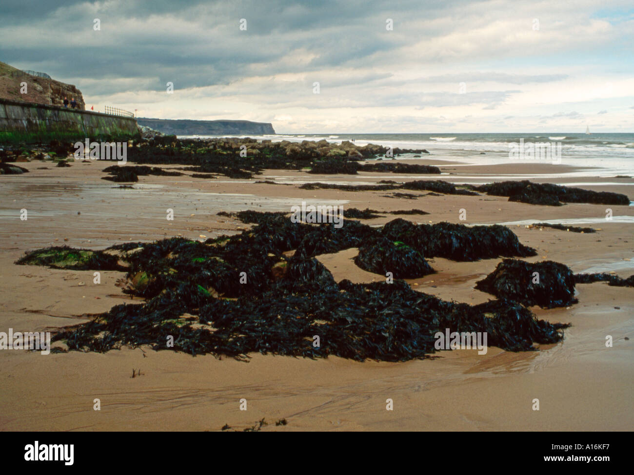 Whitby beach in inverno North Yorkshire England Regno Unito Foto Stock