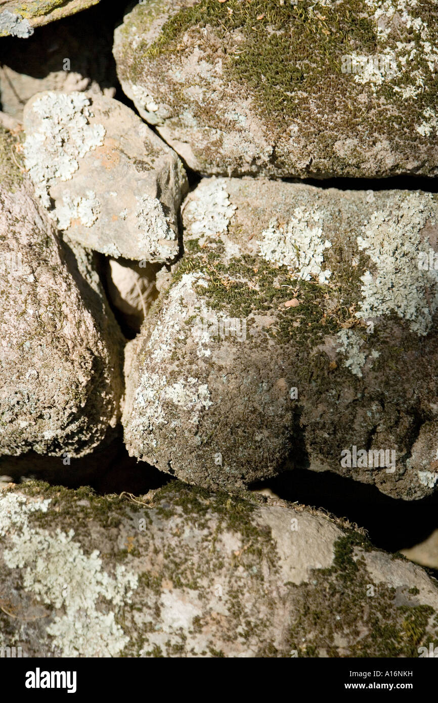 Un muro di pietra Foto Stock