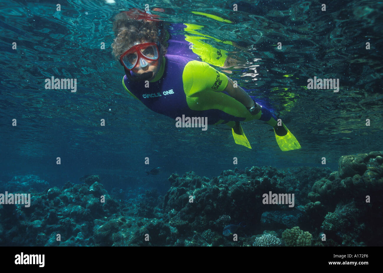 Babs Jackson snorkeling sul reef di Sanganeb Mar Rosso Sudanese oggetto era di 51 anni al momento Foto Stock