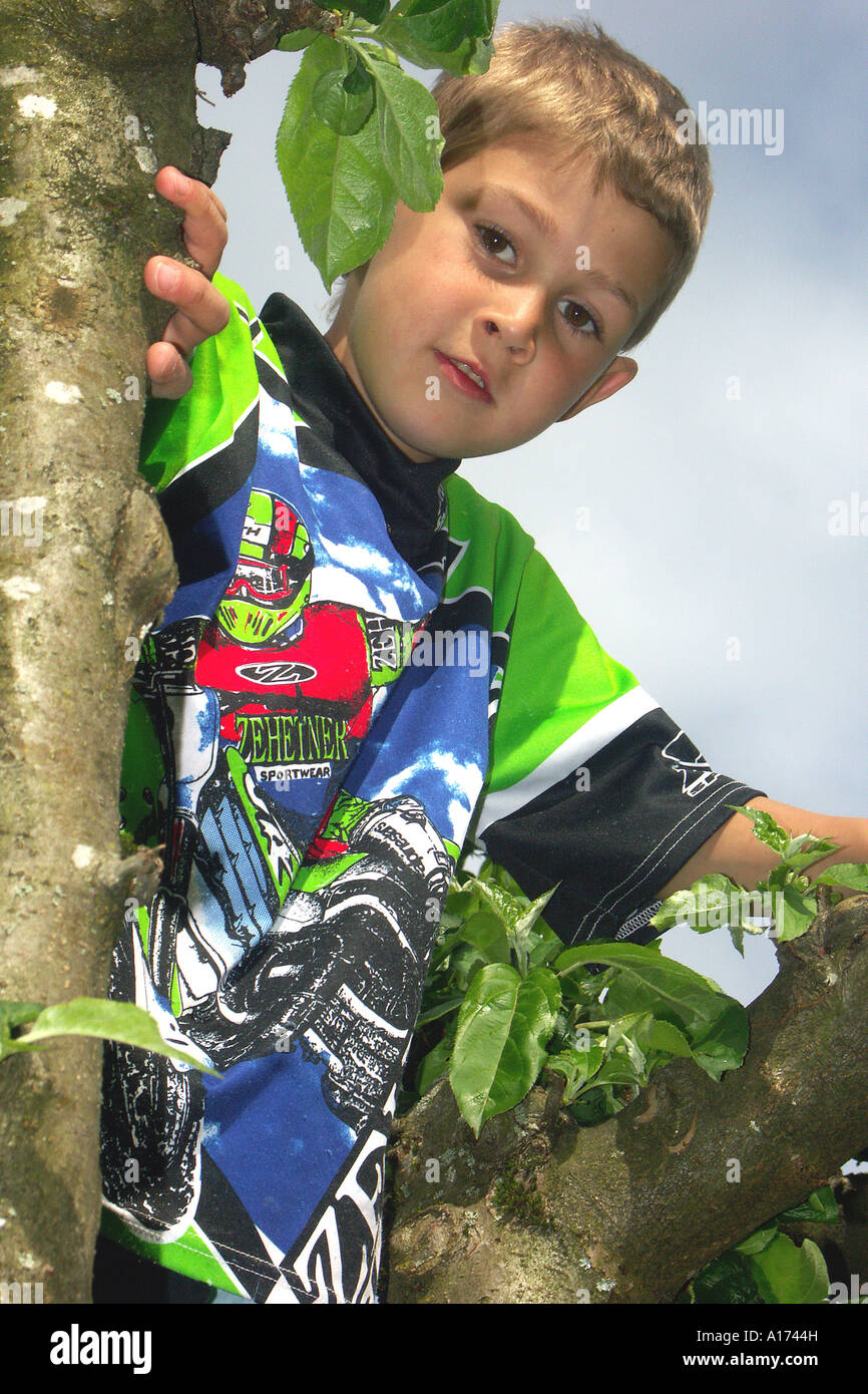 Ragazzo sale su un albero Foto Stock