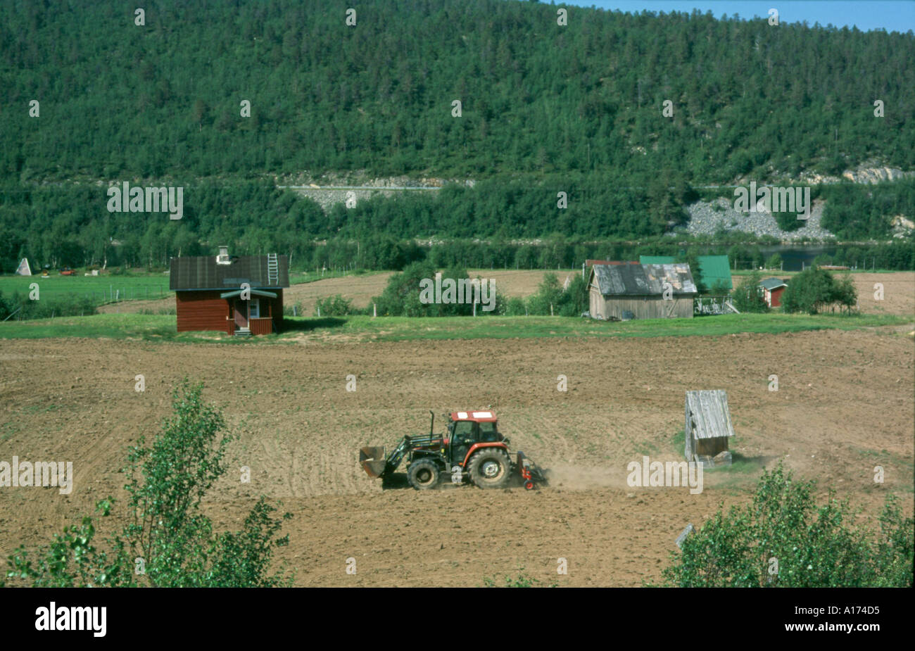 Agricoltura in Teno valley, Utsjoki nord della Finlandia Foto Stock