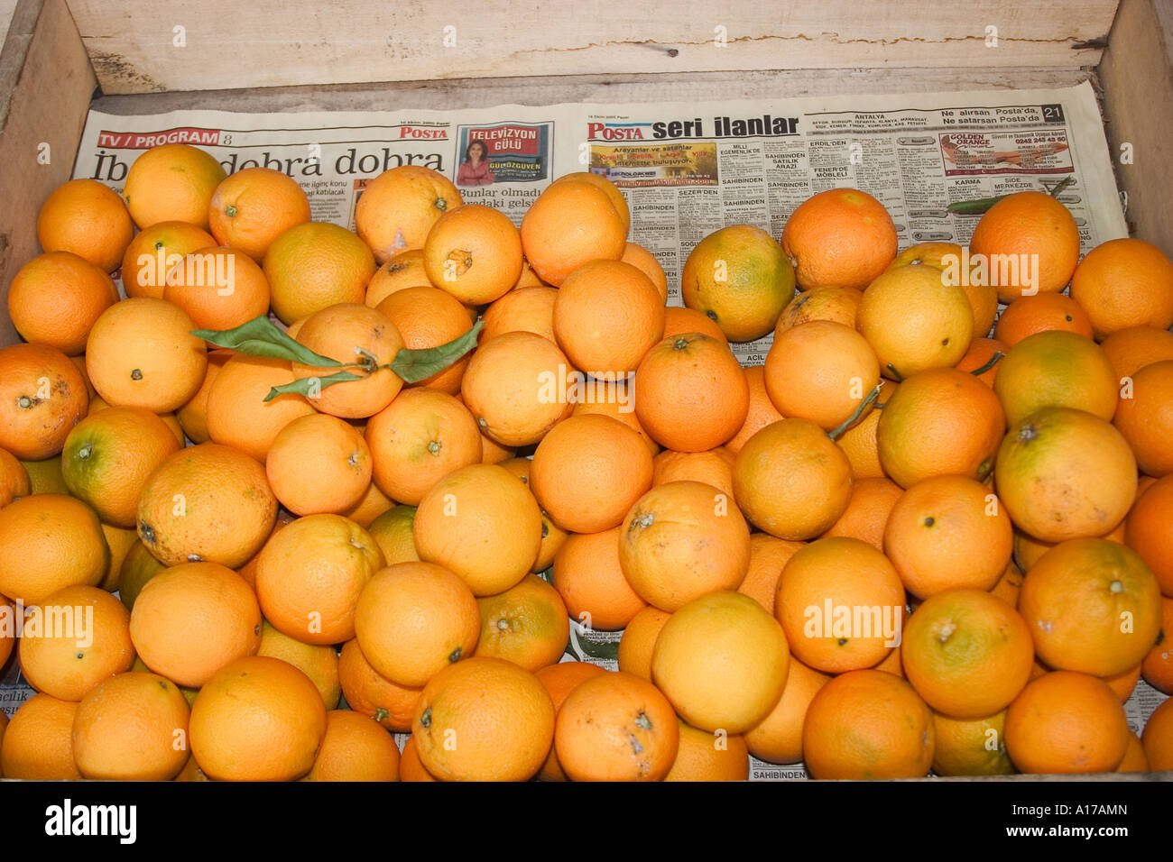 Arance in un caso Foto Stock