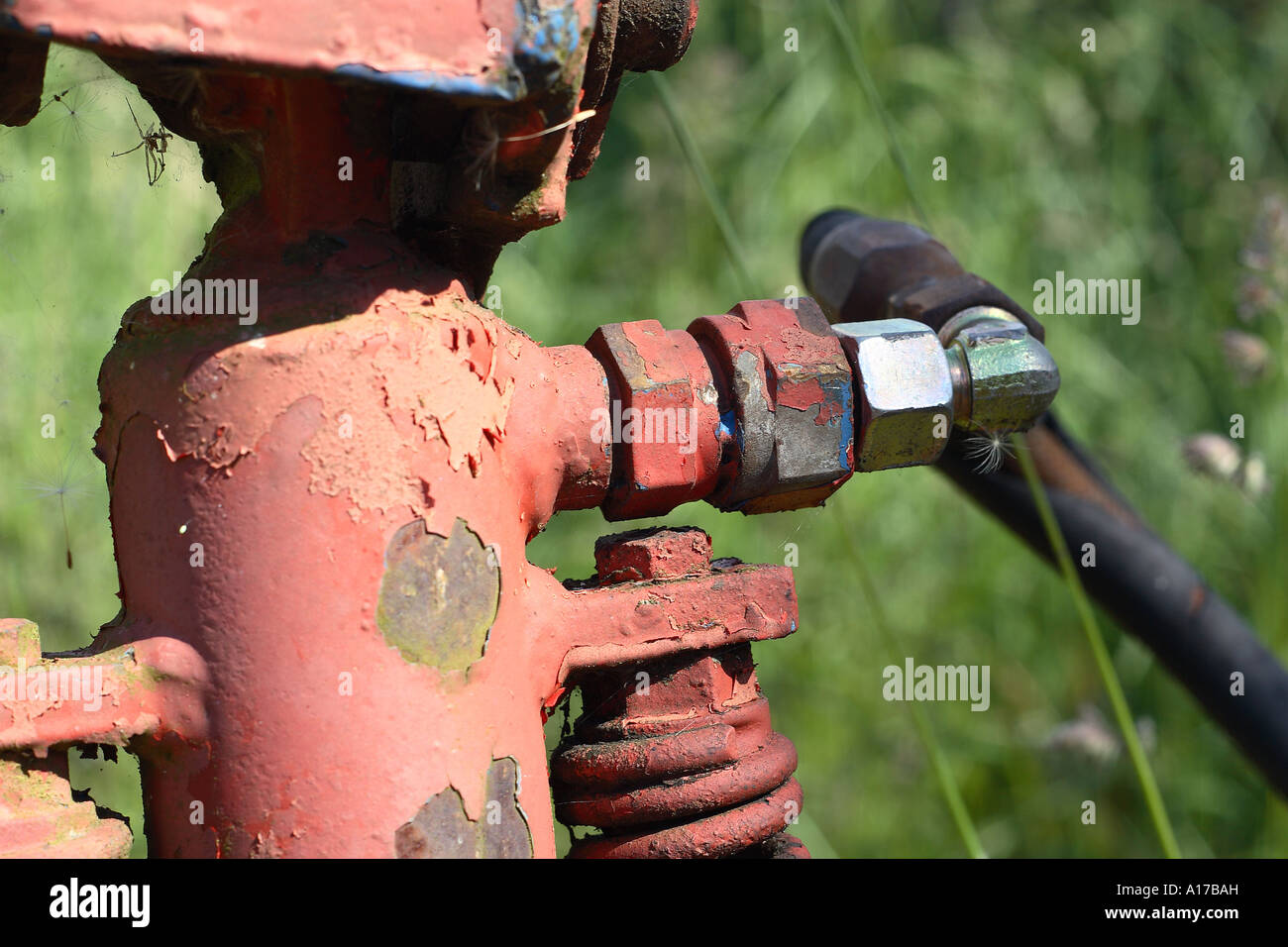 Dettagli Foto Stock