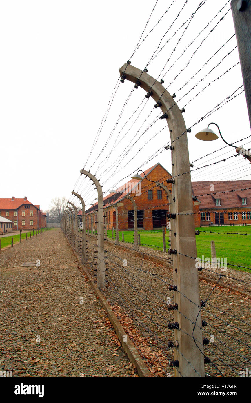 Il filo spinato al campo di concentramento di Auschwitz, Oswiecim, Polonia. Foto Stock