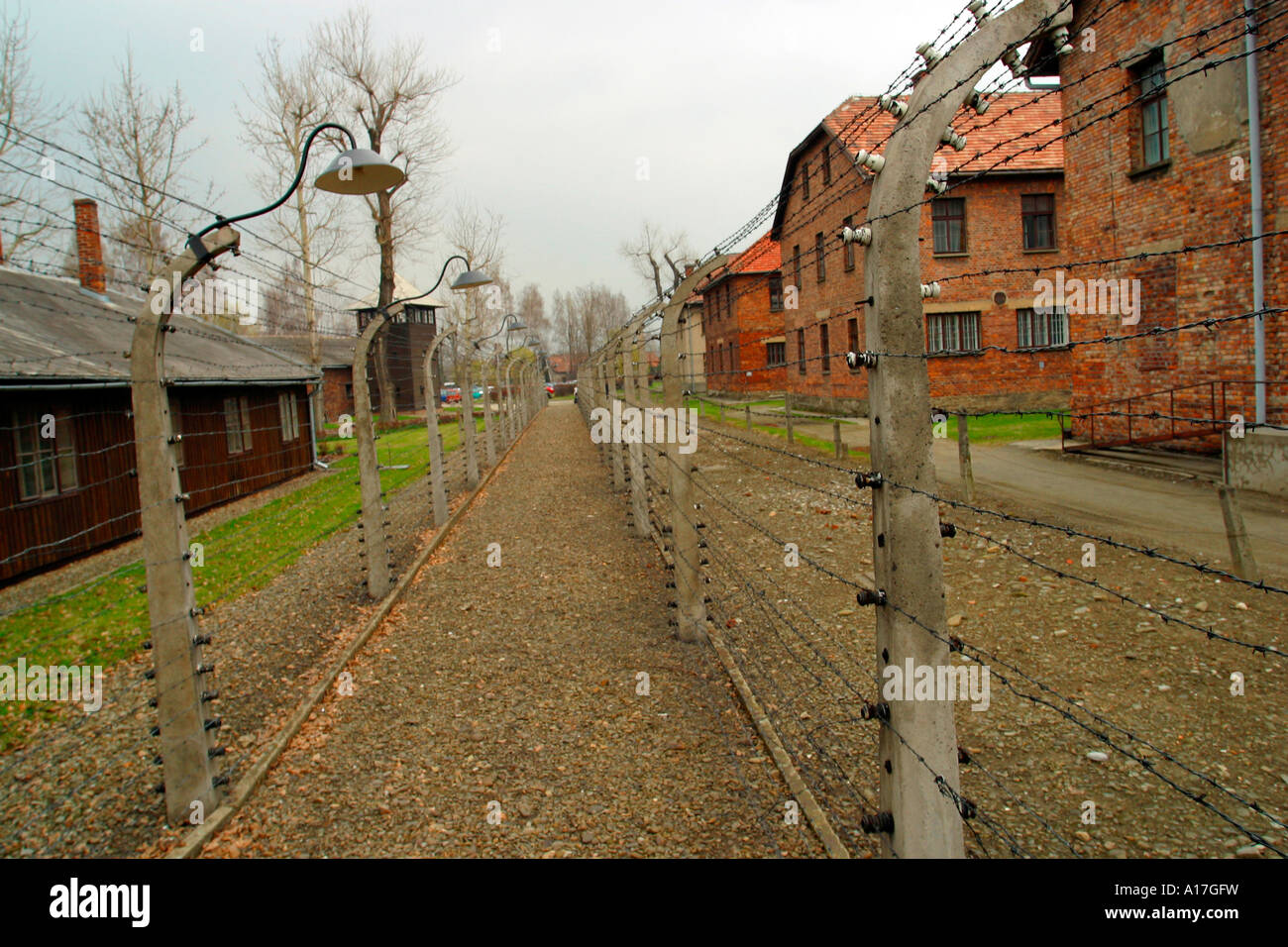 Il filo spinato al campo di concentramento di Auschwitz, Oswiecim, Polonia. Foto Stock