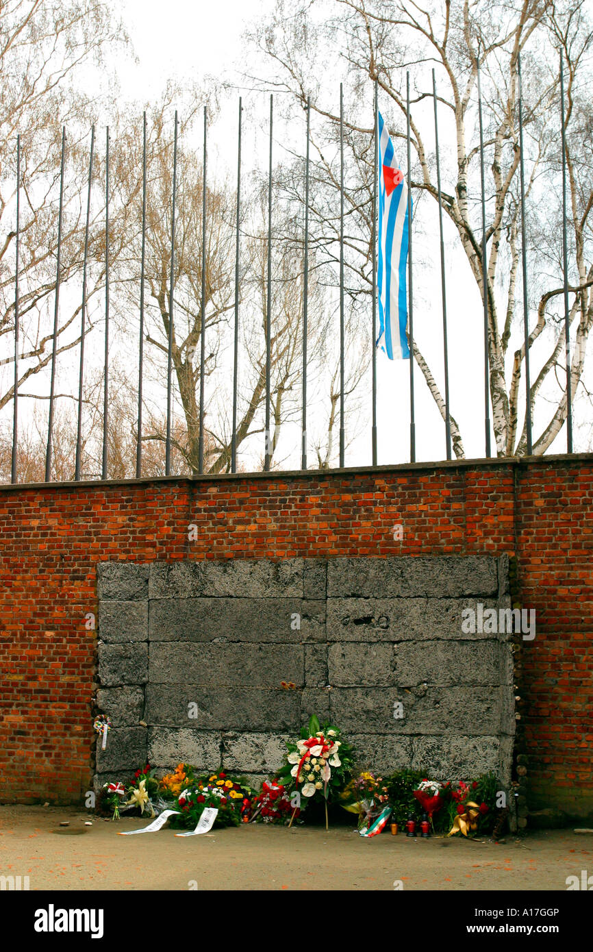 Il plotone di esecuzione muro al campo di concentramento di Auschwitz, Oswiecim, Polonia. Foto Stock