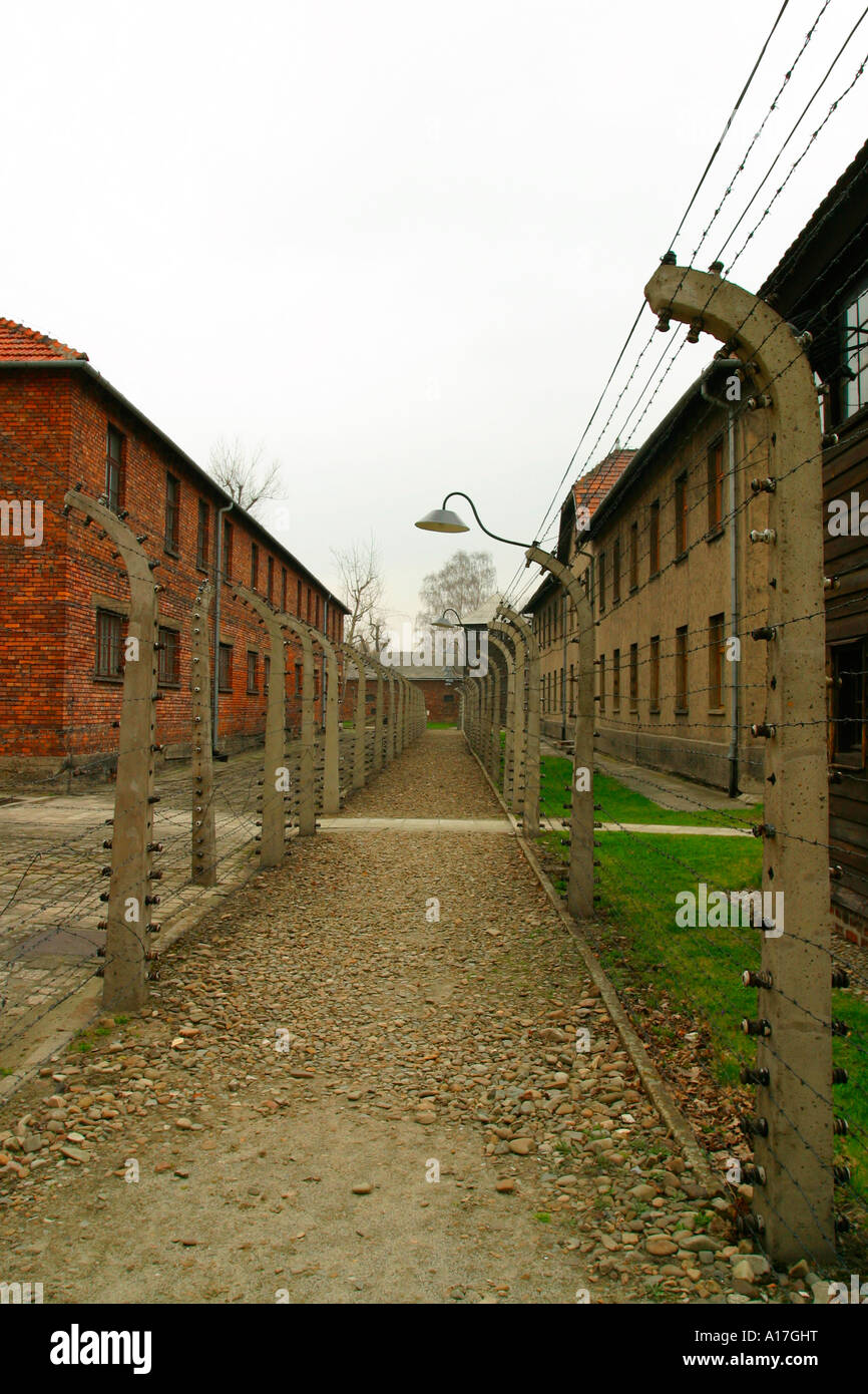 Il recinto elettrico al campo di concentramento di Auschwitz, Oswiecim, Polonia. Foto Stock