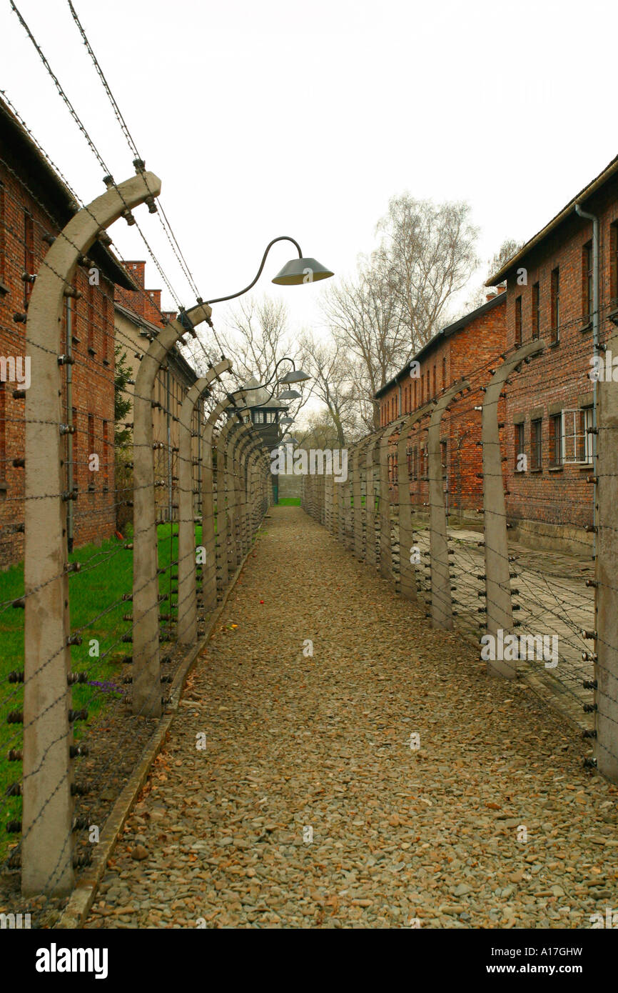 Il recinto elettrico al campo di concentramento di Auschwitz, Oswiecim, Polonia. Foto Stock